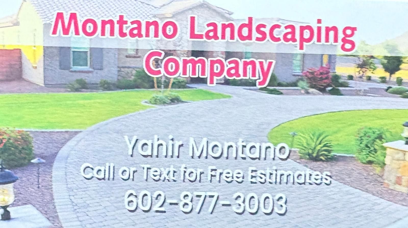 Montano Landscaping logo